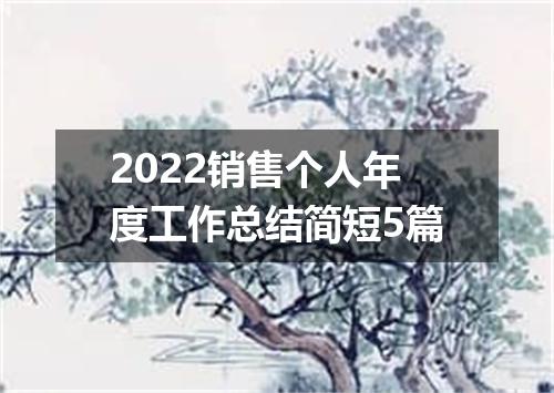 2022销售个人年度工作总结简短5篇