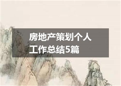 房地产策划个人工作总结5篇