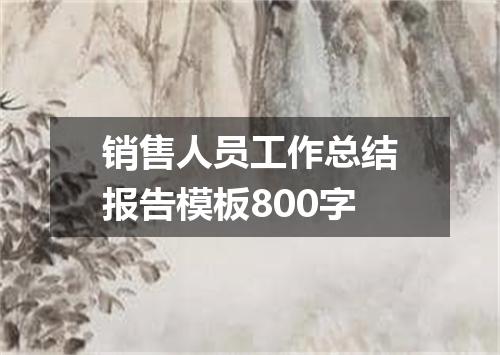 销售人员工作总结报告模板800字