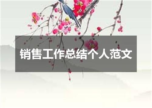 销售工作总结个人范文