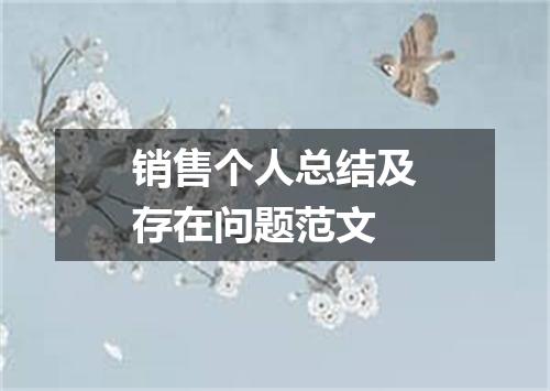 销售个人总结及存在问题范文