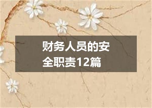 财务人员的安全职责12篇