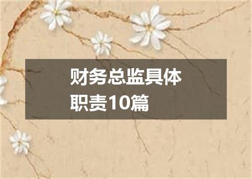 财务总监具体职责10篇