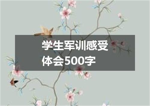 学生军训感受体会500字