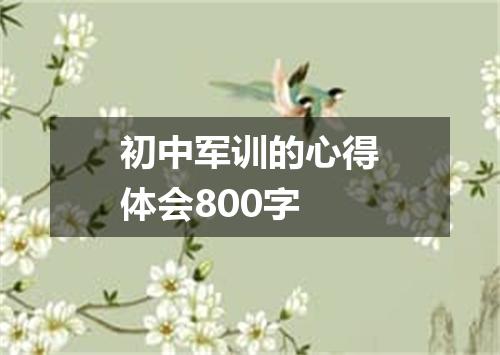 初中军训的心得体会800字