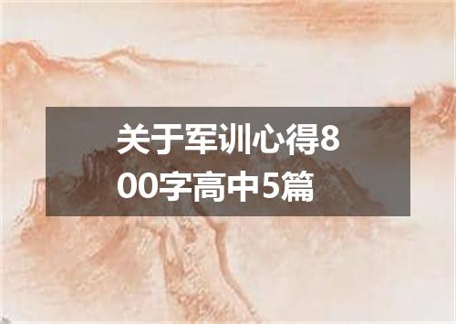 关于军训心得800字高中5篇