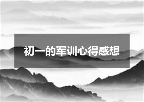 初一的军训心得感想