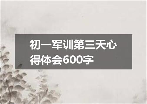 初一军训第三天心得体会600字