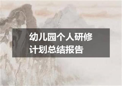 幼儿园个人研修计划总结报告