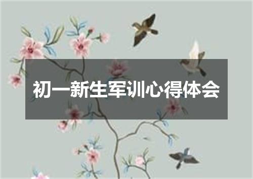 初一新生军训心得体会