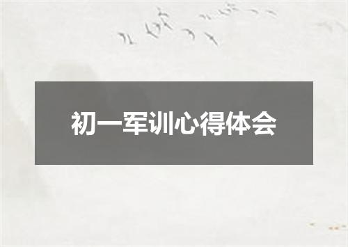 初一军训心得体会