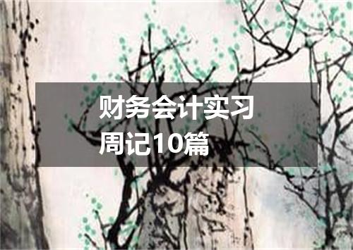 财务会计实习周记10篇