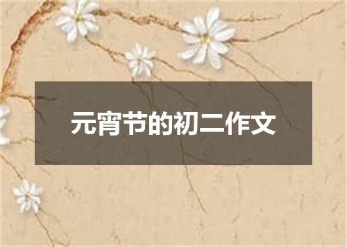 元宵节的初二作文