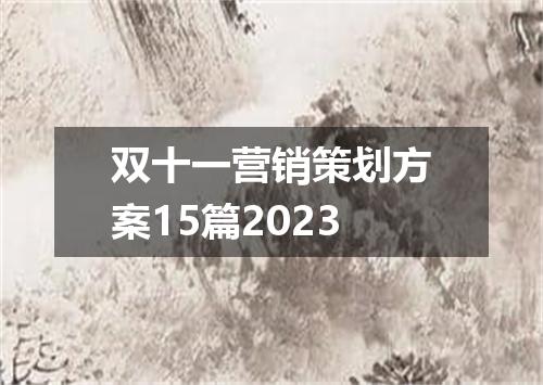 双十一营销策划方案15篇2023