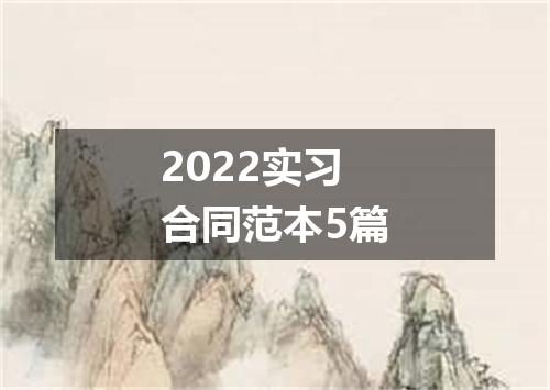 2022实习合同范本5篇