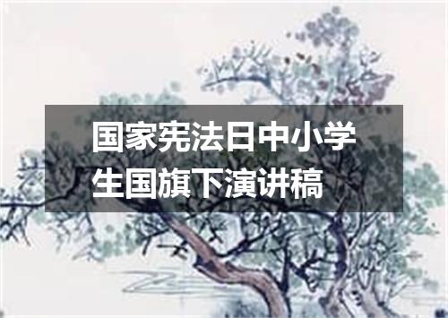 国家宪法日中小学生国旗下演讲稿