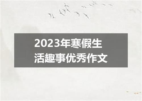 2023年寒假生活趣事优秀作文