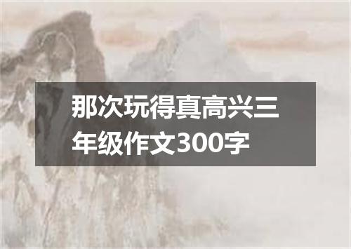 那次玩得真高兴三年级作文300字
