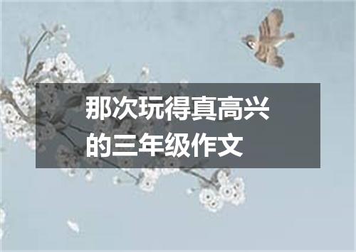 那次玩得真高兴的三年级作文