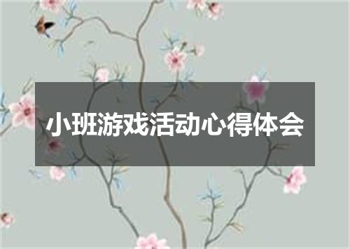 小班游戏活动心得体会