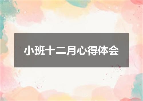 小班十二月心得体会