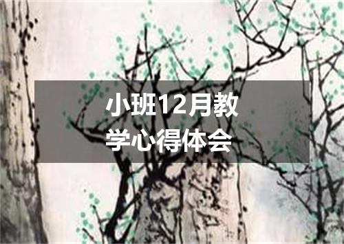 小班12月教学心得体会