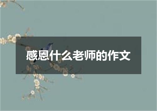 感恩什么老师的作文