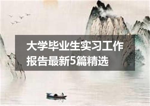 大学毕业生实习工作报告最新5篇精选