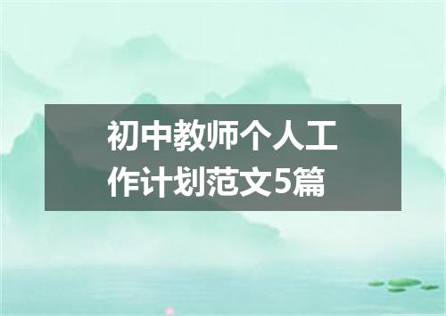初中教师个人工作计划范文5篇