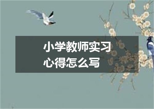 小学教师实习心得怎么写