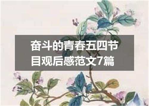 奋斗的青春五四节目观后感范文7篇