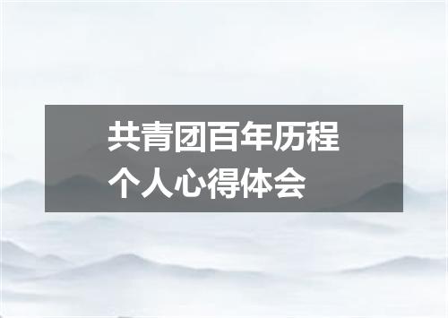 共青团百年历程个人心得体会