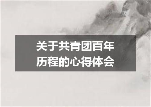 关于共青团百年历程的心得体会