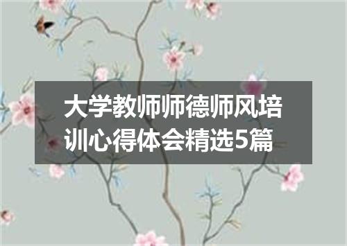 大学教师师德师风培训心得体会精选5篇