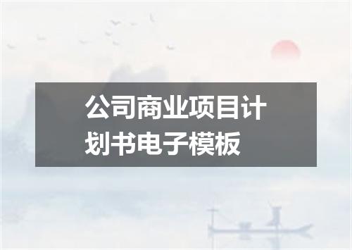 公司商业项目计划书电子模板