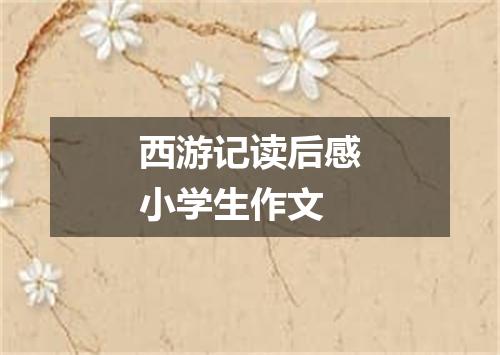 西游记读后感小学生作文