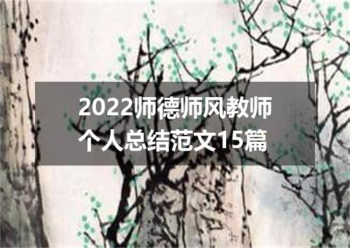 2022师德师风教师个人总结范文15篇