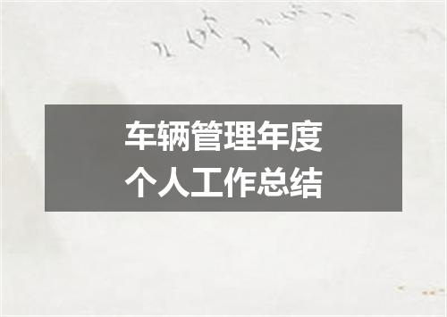 车辆管理年度个人工作总结