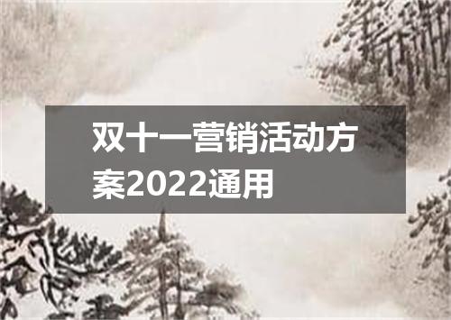 双十一营销活动方案2022通用