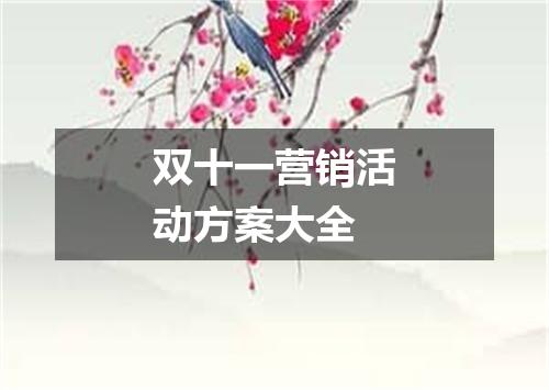 双十一营销活动方案大全