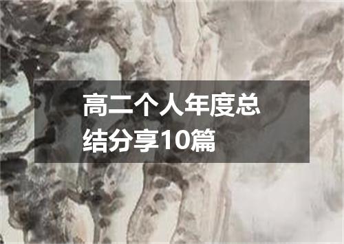高二个人年度总结分享10篇