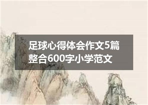 足球心得体会作文5篇整合600字小学范文