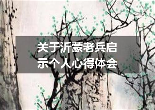 关于沂蒙老兵启示个人心得体会