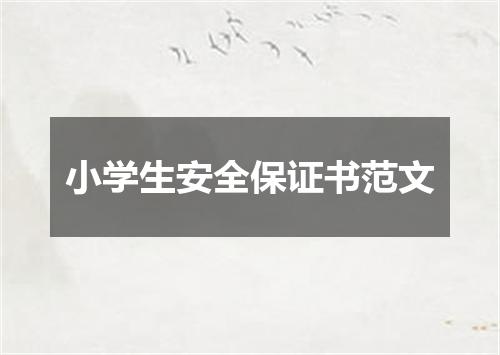 小学生安全保证书范文