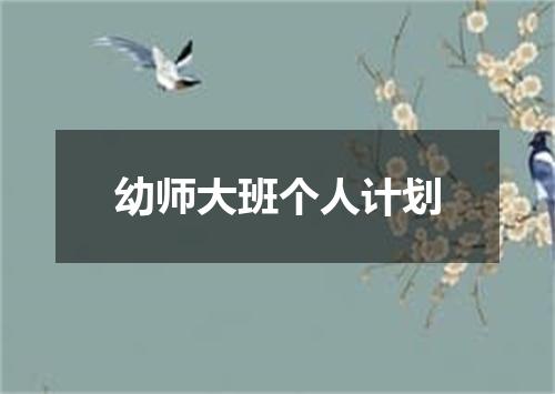 幼师大班个人计划