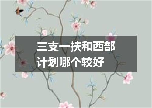 三支一扶和西部计划哪个较好