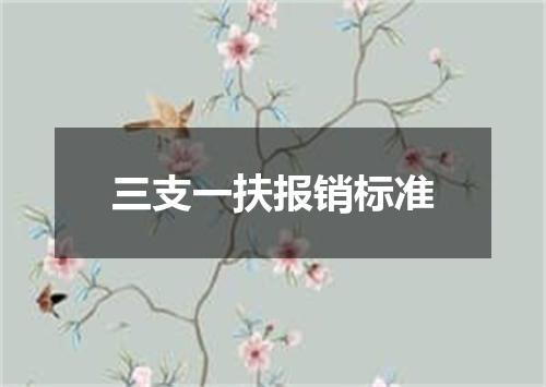 三支一扶报销标准