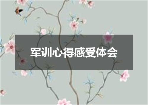 军训心得感受体会