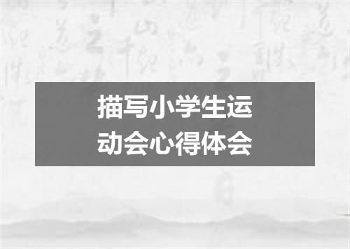 描写小学生运动会心得体会