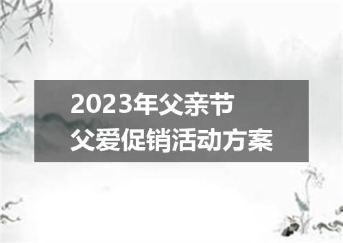 2023年父亲节父爱促销活动方案
